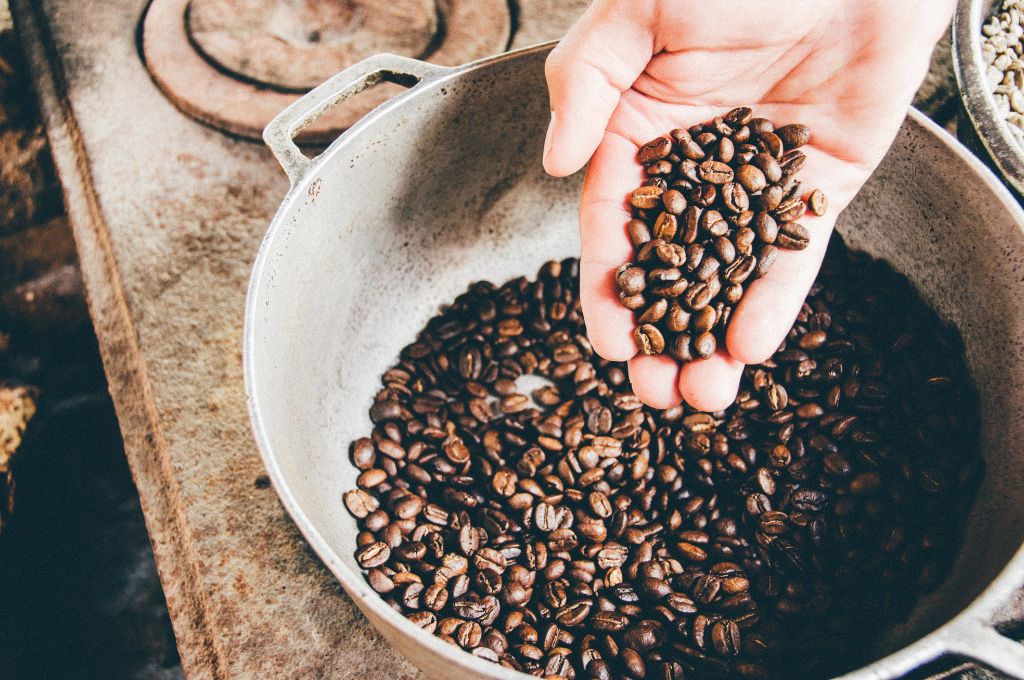 Comment pousse le café ? (Guide 2024)